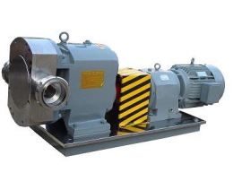 宁波邦威泵业（50BV6-10）树脂输送泵