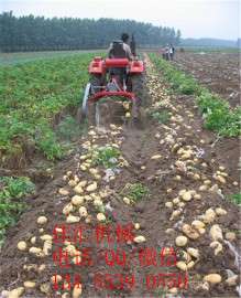 【挖土豆的机子，地瓜挖掘机，洋芋收获机，马铃薯收获机】佳汇成熟产品