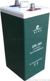 GFM-300固定型阀控式密封铅酸蓄电池