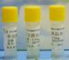 黄曲霉毒素M1单克隆抗体
